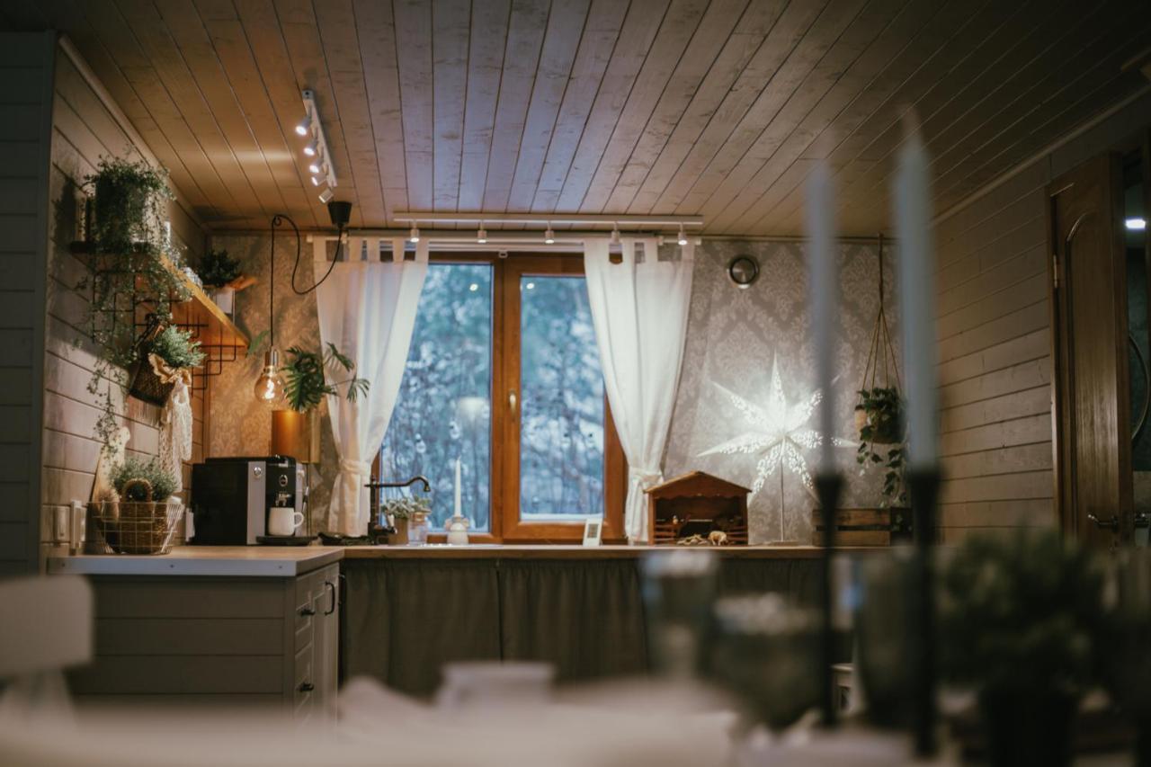 Viesu Maja Kalnaruski Ape Kültér fotó